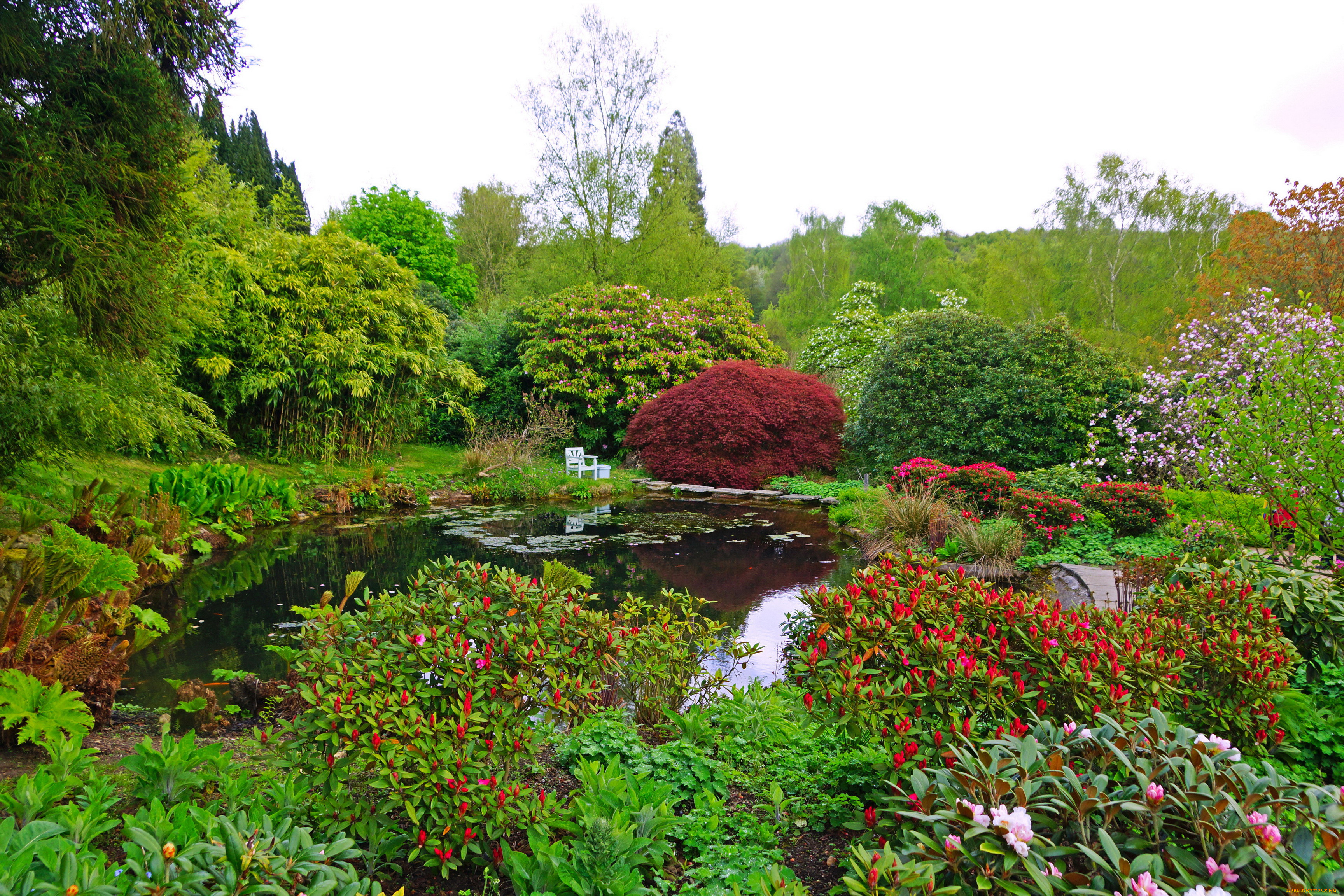 , , , charwell, garden, , , , , 